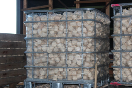 Nadelholzbriketts 500 kg lose (geschüttet)