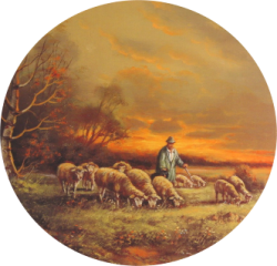 Schafe mit Hirte