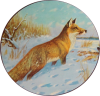 Fuchs im Schnee