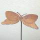 Schmetterling Paula