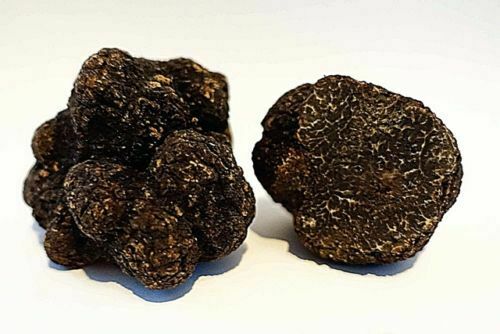 Frische Trüffel, schwarze Wintertrüffel Perigord-Trüffel, Tuber Melanosporum 50g bis 150g