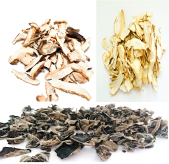 Vitalpilzmischung aus 3 Vitalpilzen, zu gleichen Anteilen 30g bis 500g
