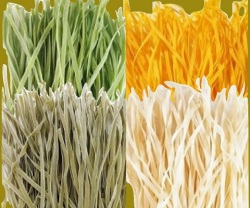 Bio-Pasta Tagliatelline passend zu frischen Trüffeln, von der Nudelmanufaktur Wolf 250g oder 500g