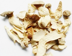 Kräuterseitling-Pulver, Pilzpulver aus 100 % Kräuterseitlingen 50g bis 250g