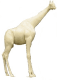 Giraffe AG2200