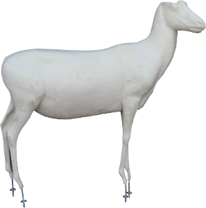 Oryx, Arabien AG2410