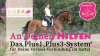 An Deinen Hilfen – Onlineseminar