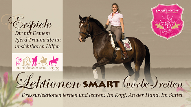 Lektionen SMART (vorbe-)reiten