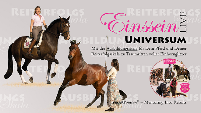 Einssein Universum