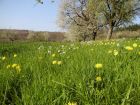 Bettlach nature Bettlach nature