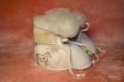 schuhe biondo 043.jpg