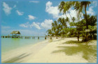 tobago.jpg