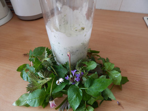 Wildkraeutersalatsoße