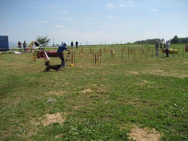 img_4617.jpg