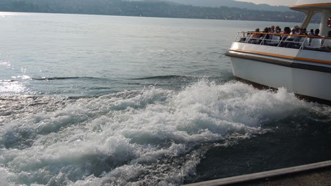 DSCN3669.jpg