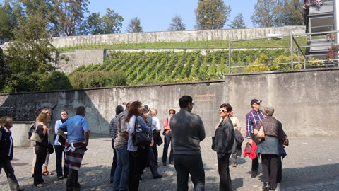 DSCN3634.jpg
