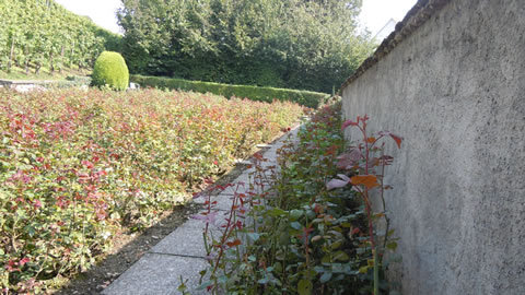 DSCN3639.jpg