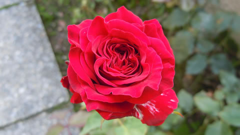 DSCN3640.jpg