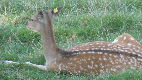 DSCN3654.jpg
