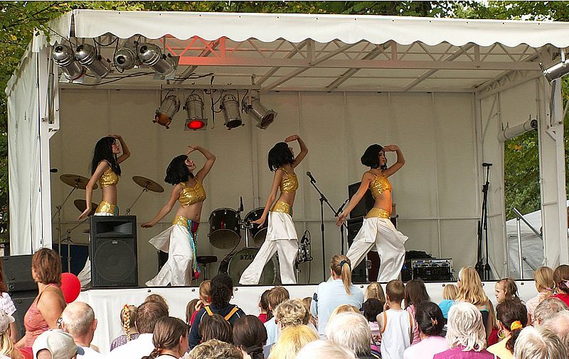 imchfest06_1.jpg