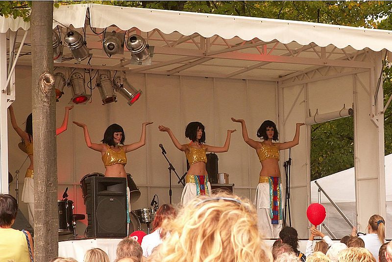 imchfest06_2.jpg