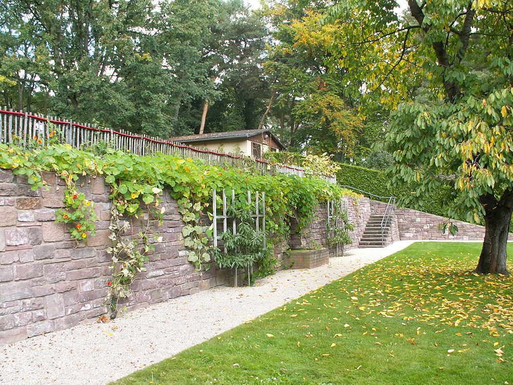 garten-drfraenkel_2007_09.jpg