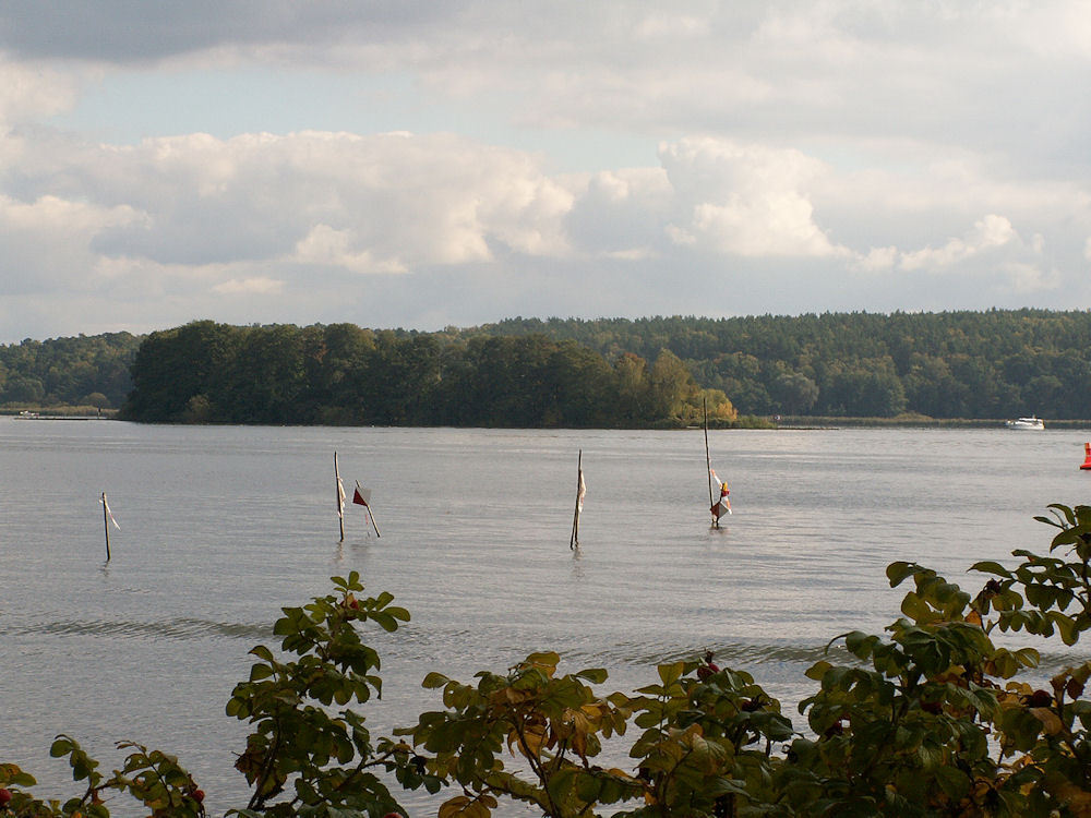 garten-drfraenkel_2007_07.jpg
