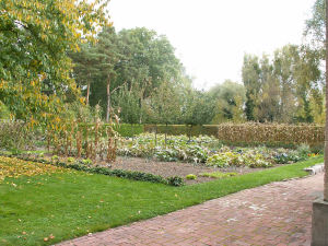 garten-drfraenkel_2007_01.jpg