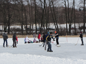 eishockey.jpg