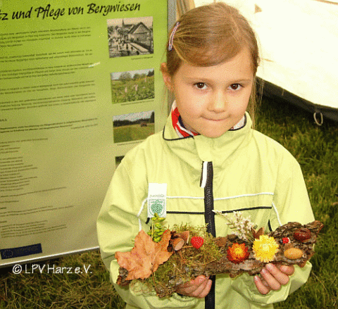 Waldfest - Basteln mit dem LPV Harz
