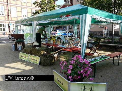 Umweltmarkt Wernigerode