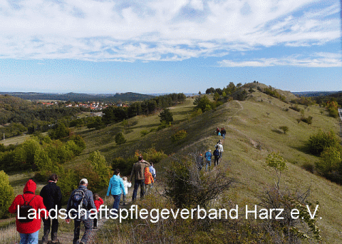 Kinderwanderung Ziegenberg