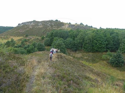 Wanderung Harsleben