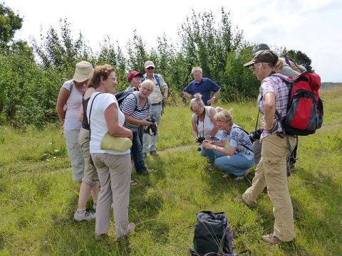 Wanderung Harsleben