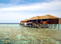 Lily Beach Resort