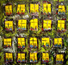 Fenster III - 60 x 60 cm - Acryl