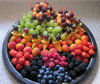 hochzeitsapero juni 11 005.jpg