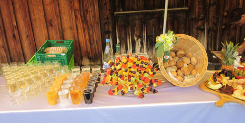 hochzeitsapero juni 11 238.jpg