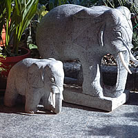 elefant-200x200.jpg