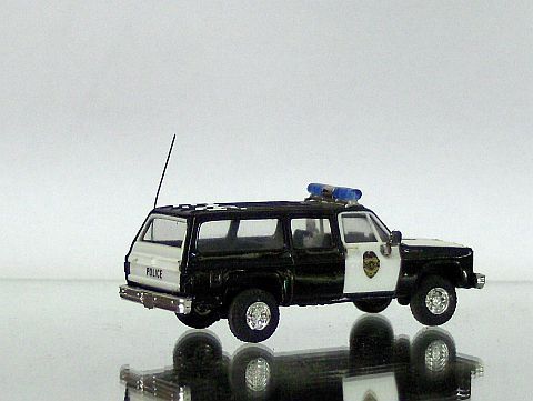 police 6.jpg
