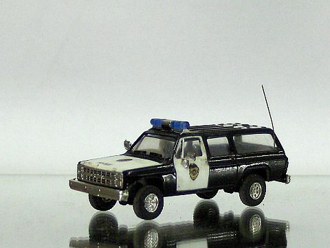 police 5.jpg
