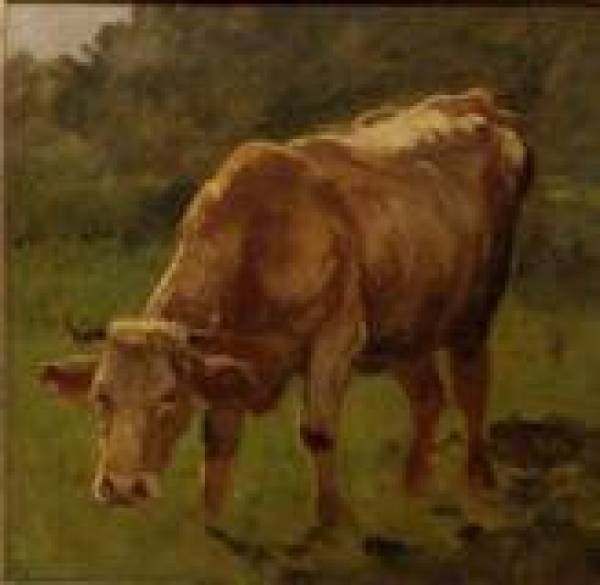 2a. Anton Braith,  1836 - 1905, "Kuh auf der Wiese", Öl/Lwd., 35 x36 cm