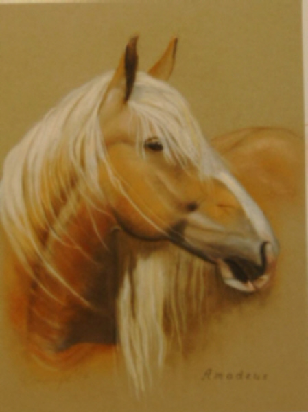 er5  Elke Reinegger,."Haflinger", 2004, Pastell, 50x40 cm   verkauft