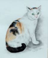 d1. Katzenportrait, 2005,  Pastell, 45 x 37 cm 