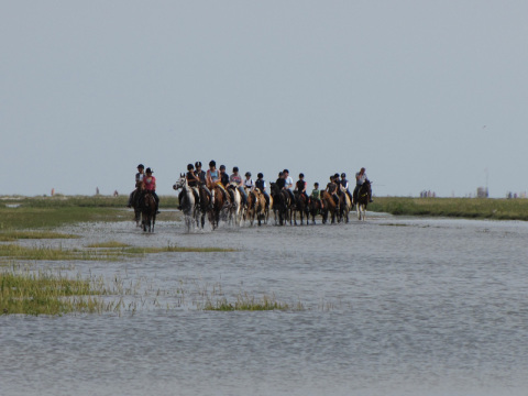 Strandausritte_20090810_029.jpg