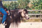 flashy_03.jpg