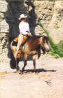 flashy_04.jpg
