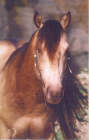 flashy_06.jpg