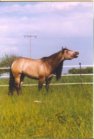 flashy_07.jpg