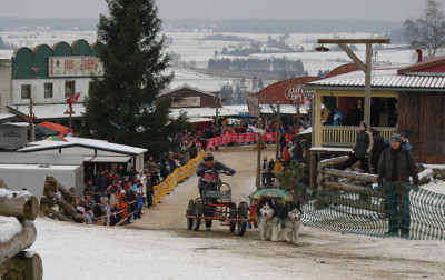 Pullman City Harz 